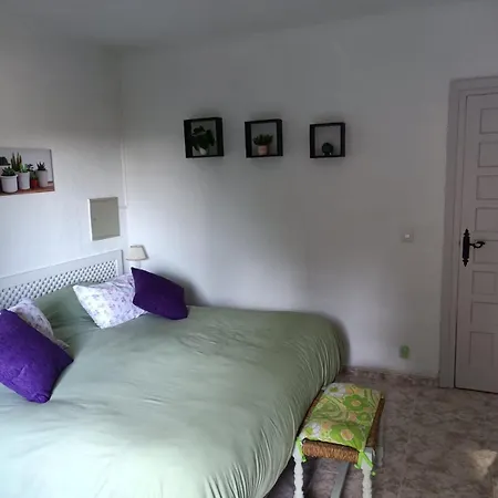 Cotobro - La Palmera Apartmán